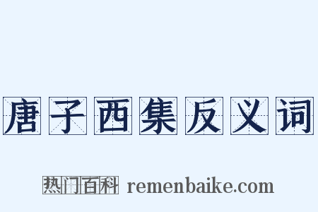 唐子西集反义词是什么意思的图片